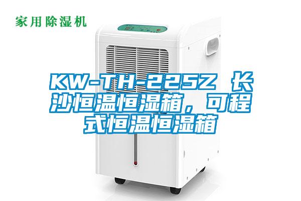KW-TH-225Z 長沙恒溫恒濕箱，可程式恒溫恒濕箱