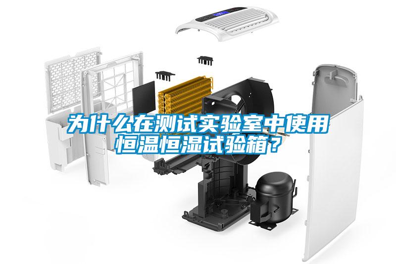 為什么在測試實驗室中使用恒溫恒濕試驗箱？