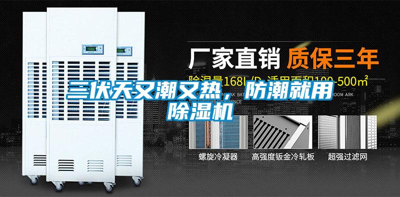三伏天又潮又熱，防潮就用除濕機(jī)