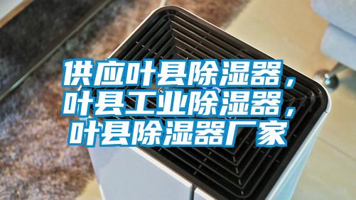 供應葉縣除濕器，葉縣工業(yè)除濕器，葉縣除濕器廠家