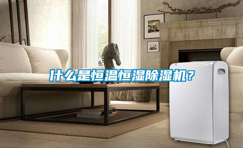 什么是恒溫恒濕除濕機(jī)？