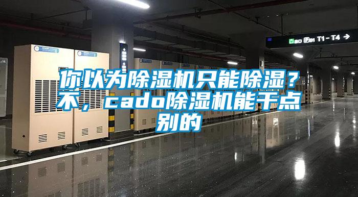 你以為除濕機(jī)只能除濕？不，cado除濕機(jī)能干點(diǎn)別的