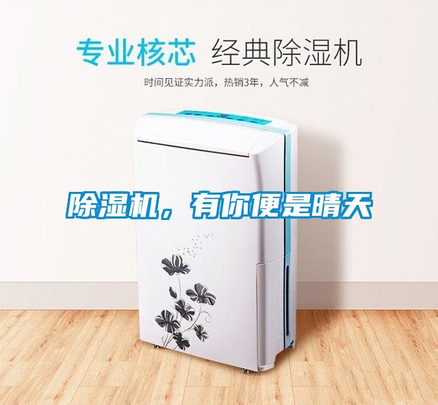 除濕機，有你便是晴天