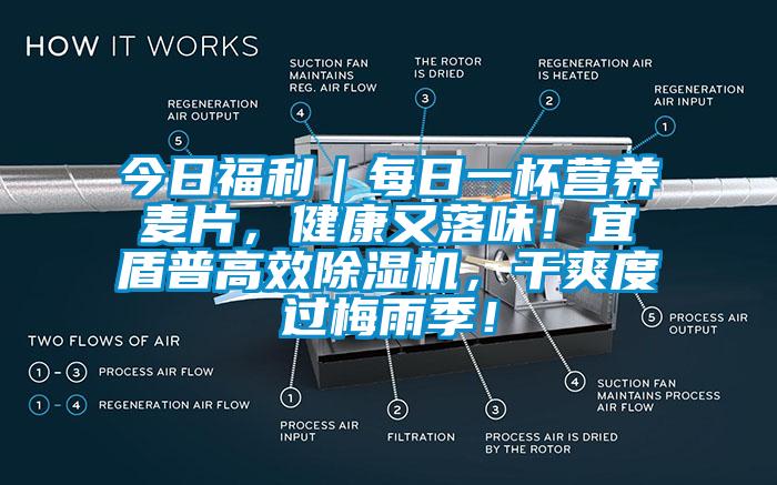 今日福利｜每日一杯營養(yǎng)麥片，健康又落味！宜盾普高效除濕機(jī)，干爽度過梅雨季！