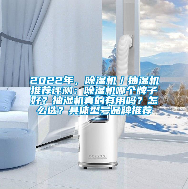 2022年，除濕機(jī)／抽濕機(jī)推薦評(píng)測(cè)：除濕機(jī)哪個(gè)牌子好？抽濕機(jī)真的有用嗎？怎么選？具體型號(hào)品牌推薦