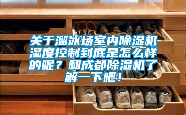 關(guān)于溜冰場(chǎng)室內(nèi)除濕機(jī)濕度控制到底是怎么樣的呢？和成都除濕機(jī)了解一下吧！