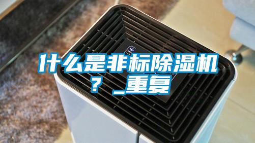 什么是非標除濕機？_重復