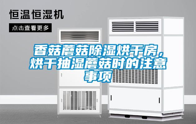 香菇蘑菇除濕烘干房，烘干抽濕蘑菇時的注意事項