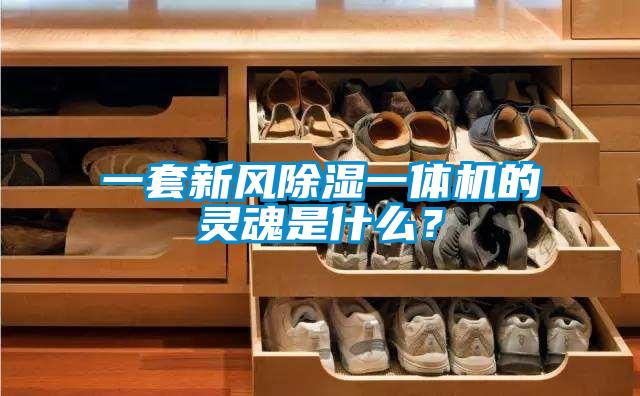 一套新風(fēng)除濕一體機(jī)的靈魂是什么？