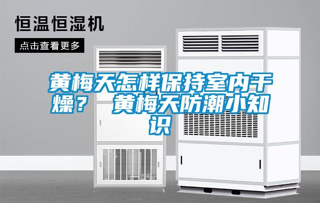 黃梅天怎樣保持室內(nèi)干燥？ 黃梅天防潮小知識