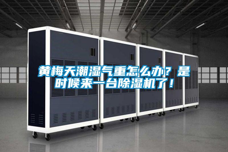 黃梅天潮濕氣重怎么辦？是時(shí)候來一臺除濕機(jī)了！