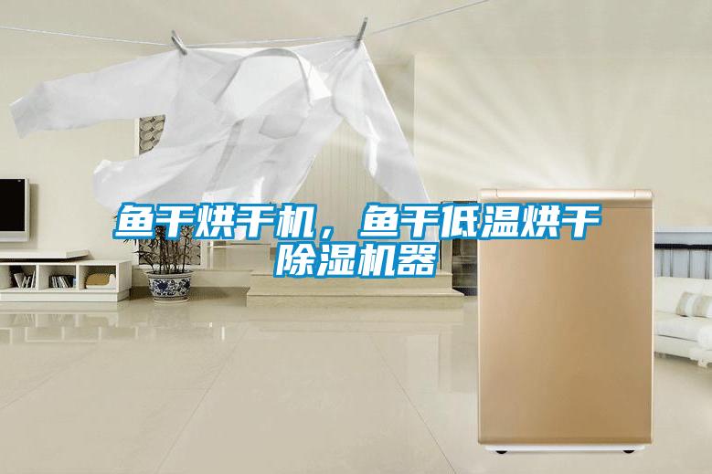 魚干烘干機(jī)，魚干低溫烘干除濕機(jī)器