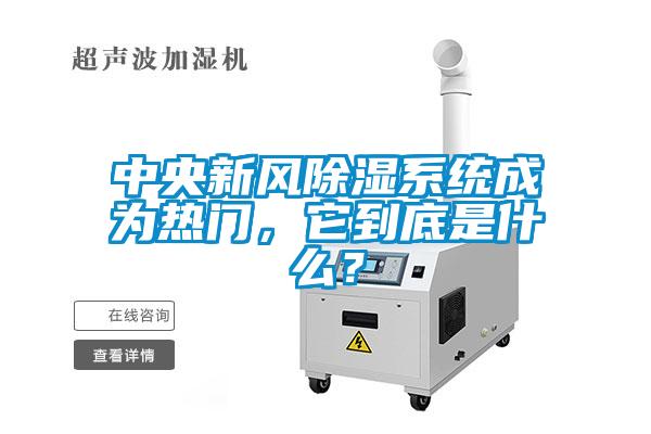 中央新風(fēng)除濕系統(tǒng)成為熱門(mén)，它到底是什么？