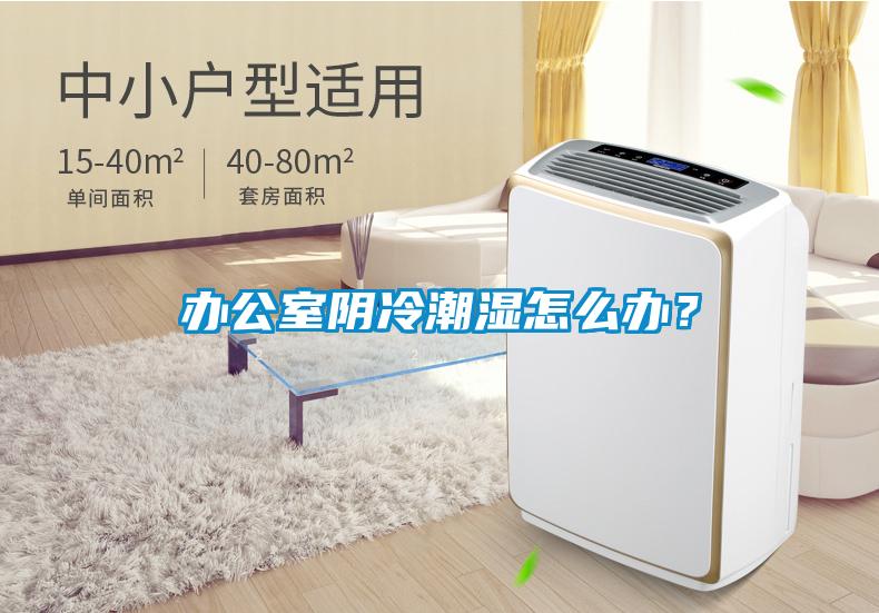 辦公室陰冷潮濕怎么辦？