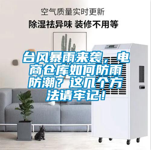臺(tái)風(fēng)暴雨來襲，電商倉(cāng)庫(kù)如何防雨防潮？這幾個(gè)方法請(qǐng)牢記！