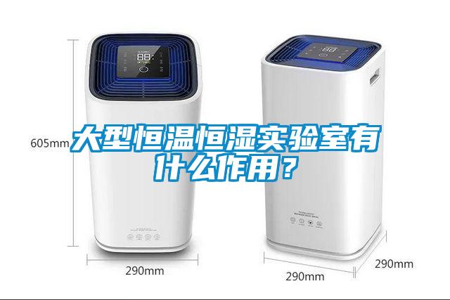 大型恒溫恒濕實(shí)驗(yàn)室有什么作用？