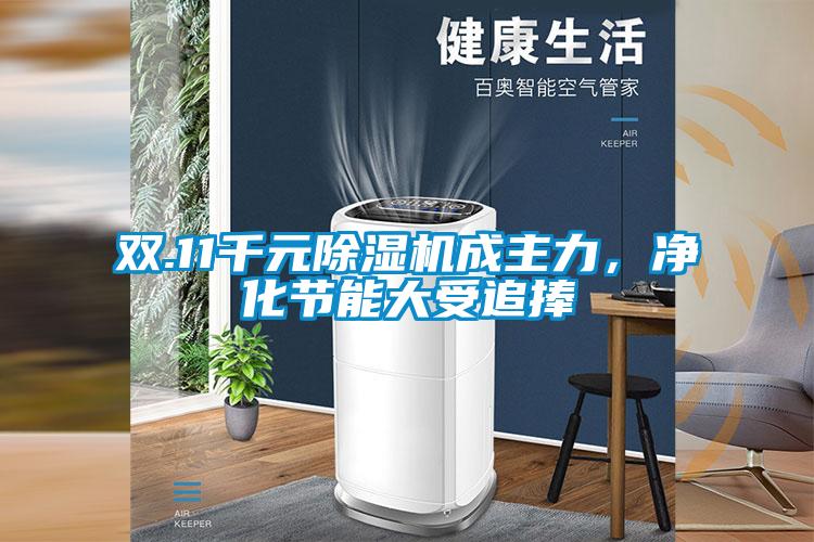 雙.11千元除濕機(jī)成主力，凈化節(jié)能大受追捧
