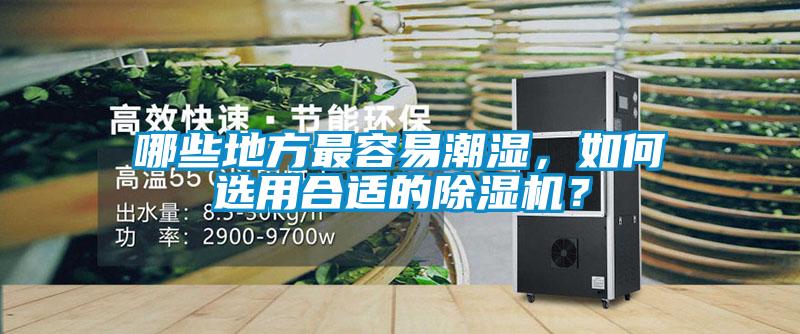 哪些地方最容易潮濕，如何選用合適的除濕機(jī)？