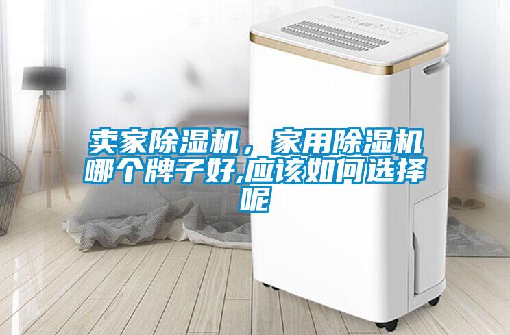 賣家除濕機，家用除濕機哪個牌子好,應該如何選擇呢