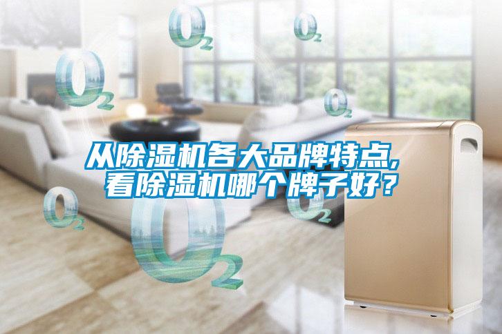 從除濕機(jī)各大品牌特點(diǎn), 看除濕機(jī)哪個(gè)牌子好？