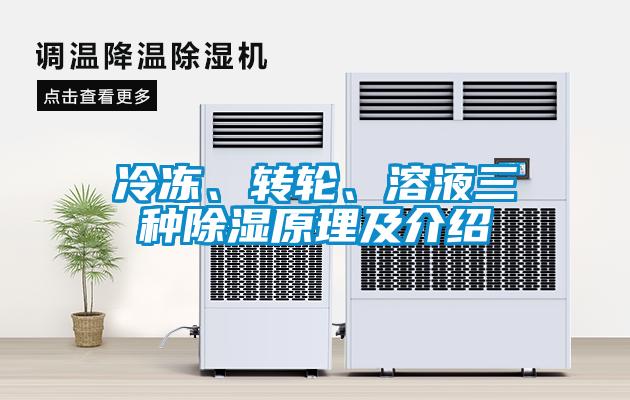 冷凍、轉(zhuǎn)輪、溶液三種除濕原理及介紹