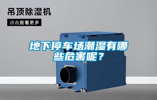 地下停車場潮濕有哪些危害呢？