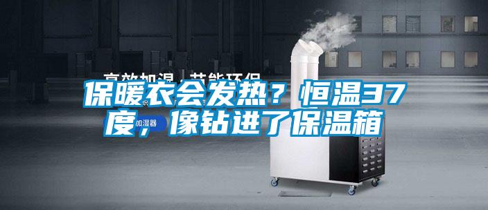保暖衣會(huì)發(fā)熱？恒溫37度，像鉆進(jìn)了保溫箱