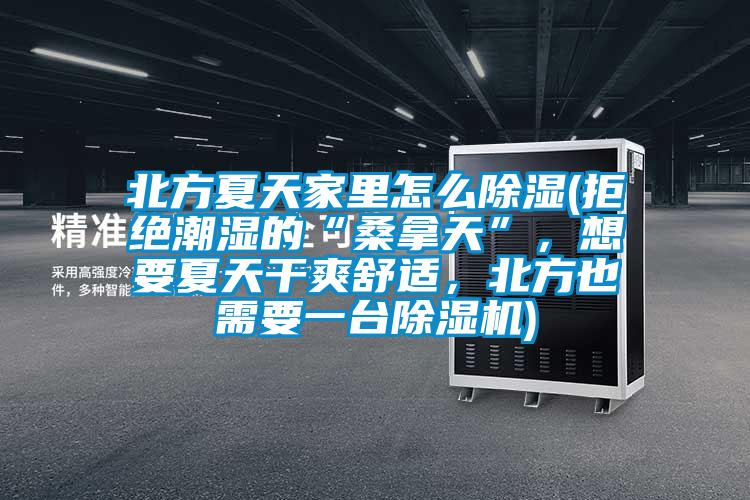 北方夏天家里怎么除濕(拒絕潮濕的“桑拿天”，想要夏天干爽舒適，北方也需要一臺除濕機)
