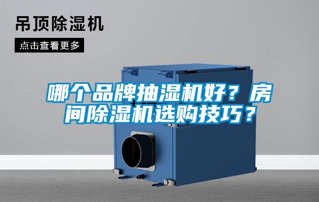哪個(gè)品牌抽濕機(jī)好？房間除濕機(jī)選購(gòu)技巧？