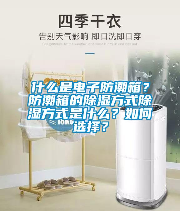 什么是電子防潮箱？防潮箱的除濕方式除濕方式是什么？如何選擇？