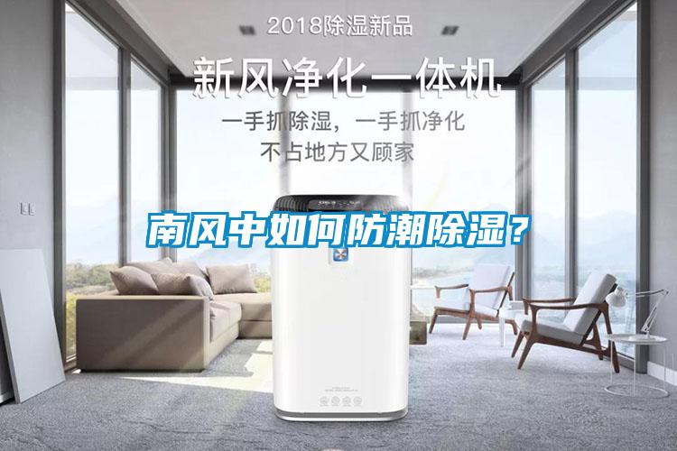 南風(fēng)中如何防潮除濕？