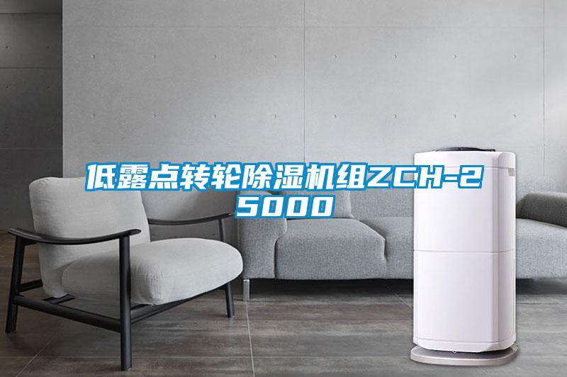 低露點轉(zhuǎn)輪除濕機(jī)組ZCH-25000