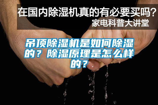 吊頂除濕機(jī)是如何除濕的？除濕原理是怎么樣的？