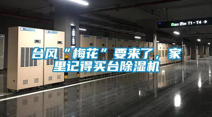 臺(tái)風(fēng)“梅花”要來了，家里記得買臺(tái)除濕機(jī)