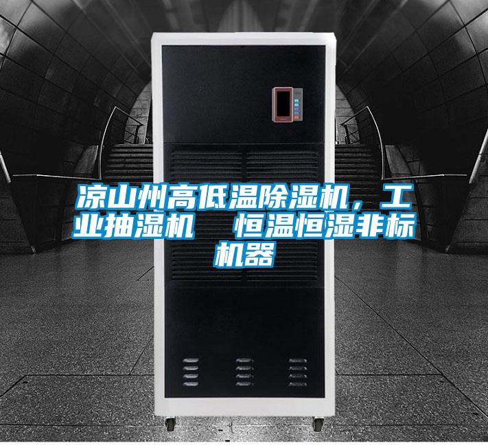 涼山州高低溫除濕機(jī)，工業(yè)抽濕機(jī)  恒溫恒濕非標(biāo)機(jī)器