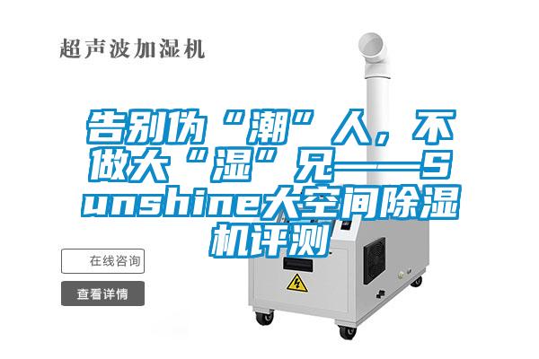 告別偽“潮”人，不做大“濕”兄——Sunshine大空間除濕機(jī)評(píng)測(cè)