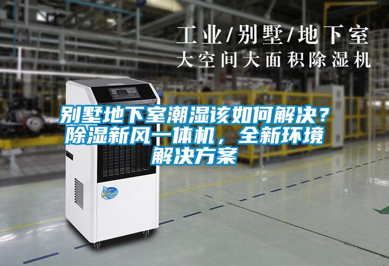 別墅地下室潮濕該如何解決？除濕新風(fēng)一體機(jī)，全新環(huán)境解決方案