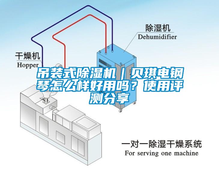 吊裝式除濕機(jī)｜貝琪電鋼琴怎么樣好用嗎？使用評(píng)測(cè)分享