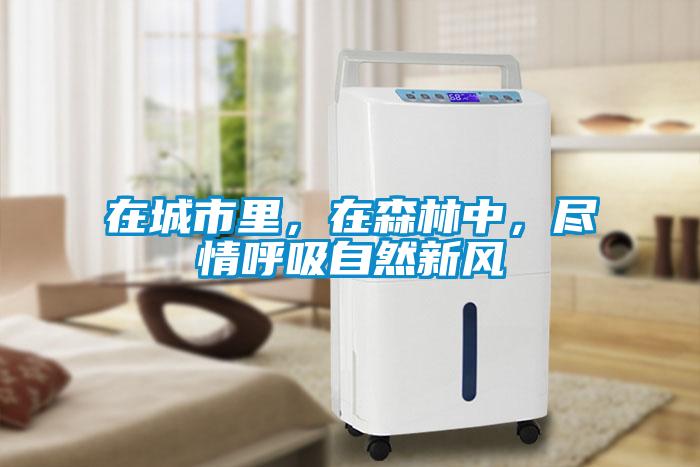 在城市里，在森林中，盡情呼吸自然新風(fēng)
