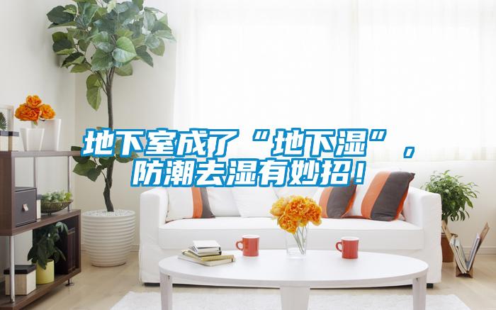 地下室成了“地下濕”，防潮去濕有妙招！