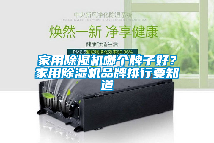 家用除濕機哪個牌子好？家用除濕機品牌排行要知道