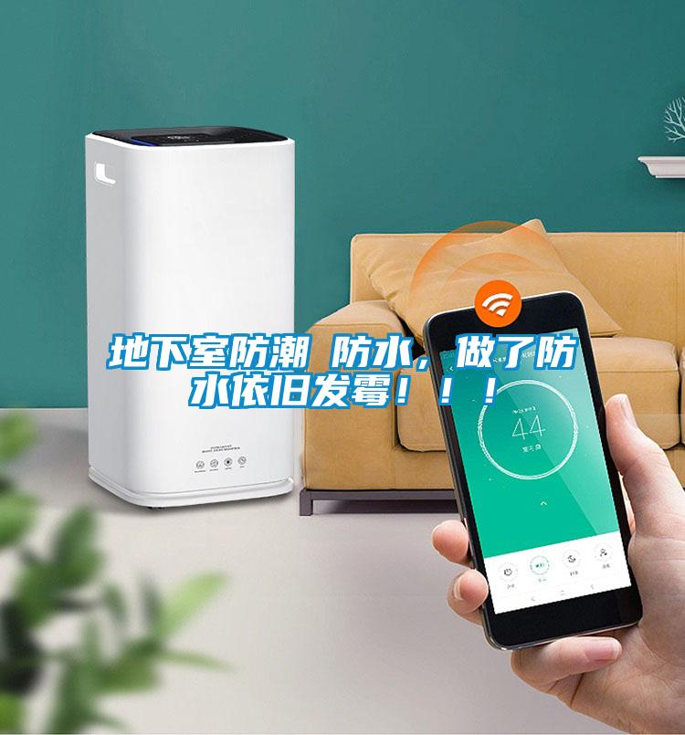 地下室防潮≠防水，做了防水依舊發(fā)霉！??！