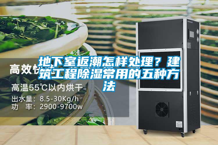 地下室返潮怎樣處理？建筑工程除濕常用的五種方法