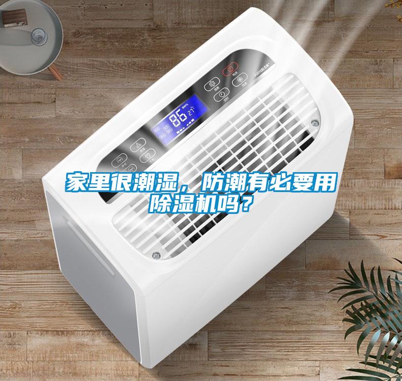 家里很潮濕，防潮有必要用除濕機(jī)嗎？