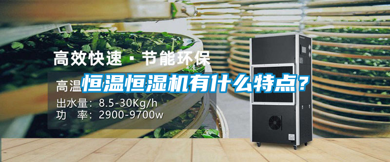 恒溫恒濕機(jī)有什么特點(diǎn)？
