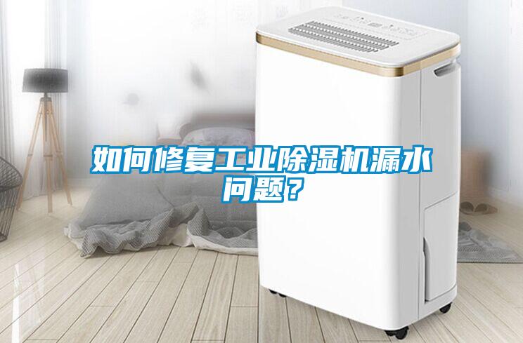 如何修復(fù)工業(yè)除濕機(jī)漏水問(wèn)題？