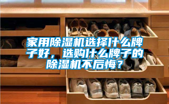家用除濕機(jī)選擇什么牌子好，選購什么牌子的除濕機(jī)不后悔？