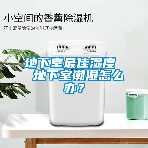 地下室最佳濕度  地下室潮濕怎么辦？