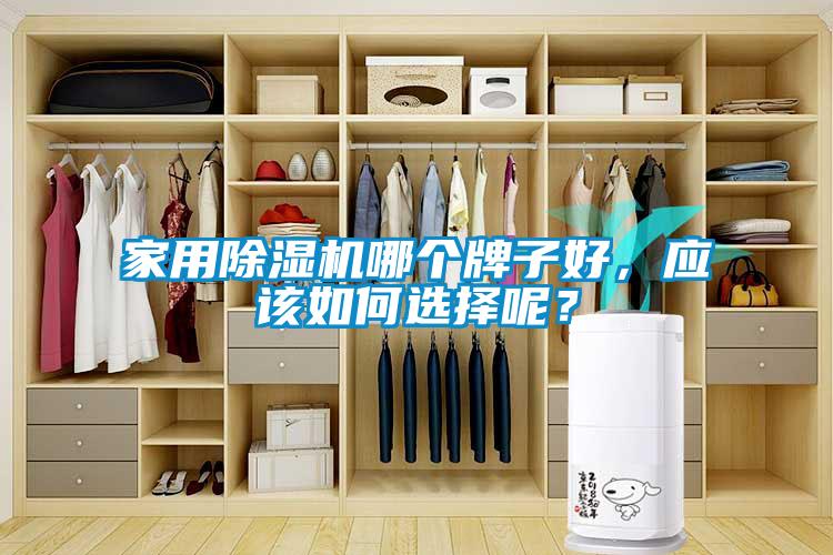 家用除濕機哪個牌子好，應(yīng)該如何選擇呢？