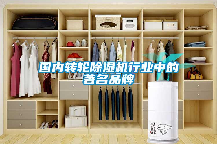 國內(nèi)轉輪除濕機行業(yè)中的著名品牌